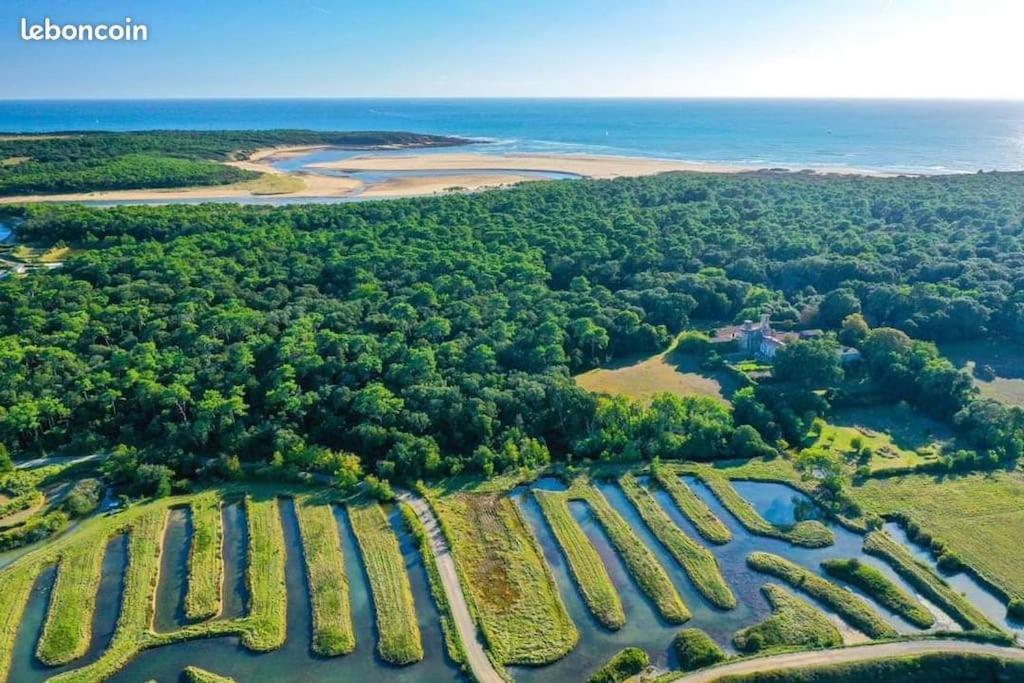 Studio Au Coeur Du Golf De Port Bourgenay, Proche Des Sables D'Olonne Talmont-Saint-Hilaire Exteriér fotografie